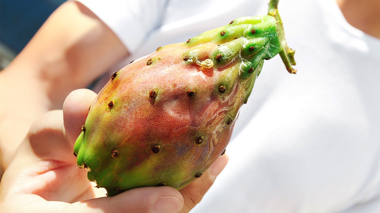 Prickly Pear Oil: Benefits, Uses, and Tips